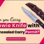 Can you carry a Bowie knife with concealed carry permit
