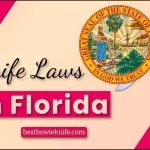 Knife Laws in Florida